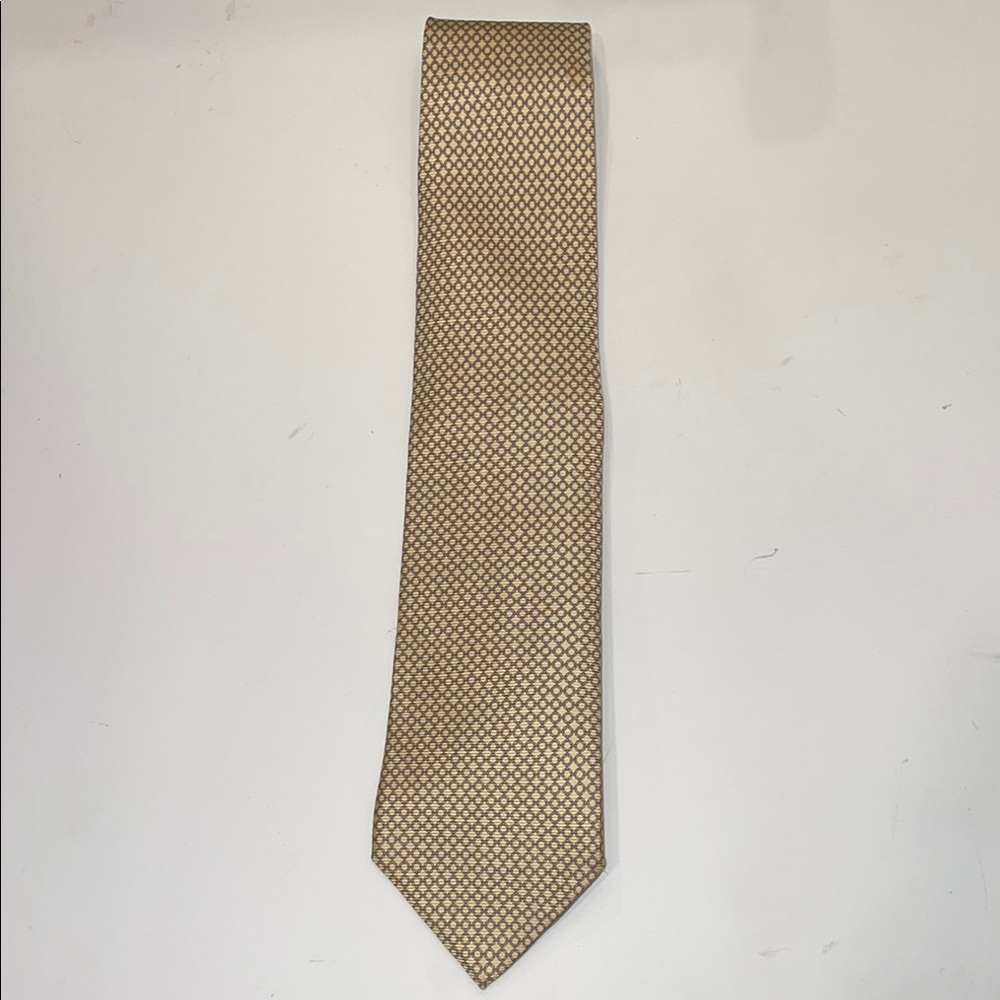 Luigi Borelli Tan Silk Textured Tie